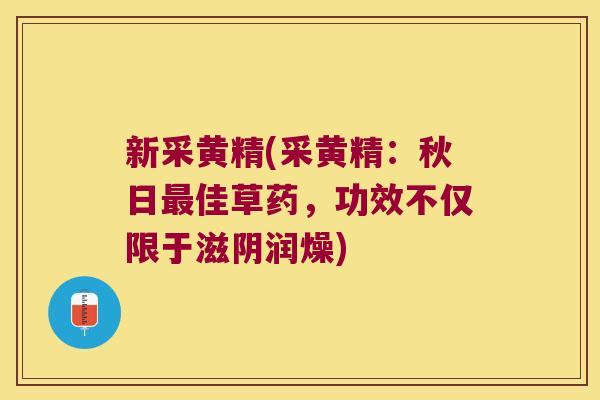 新采黄精(采黄精：秋日佳草药，功效不仅限于滋阴润燥)