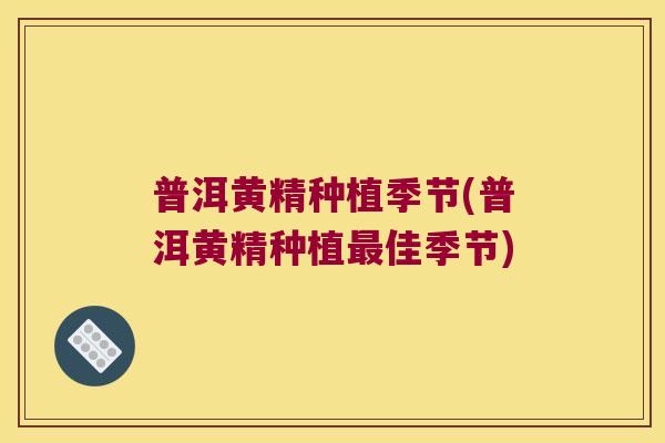 普洱黄精种植季节(普洱黄精种植佳季节) 普洱黄精种植季节(普洱黄精种植佳季节)