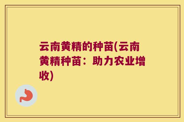 云南黄精的种苗(云南黄精种苗:助力农业增收) 云南黄精的种苗(云南黄精种苗:助力农业增收)