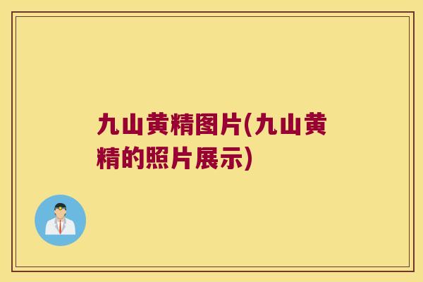 九山黄精图片(九山黄精的照片展示) 九山黄精图片(九山黄精的照片展示)