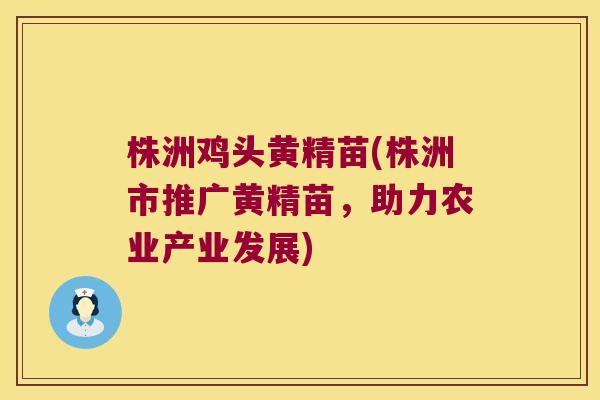 株洲鸡头黄精苗(株洲市推广黄精苗，助力农业产业发展)