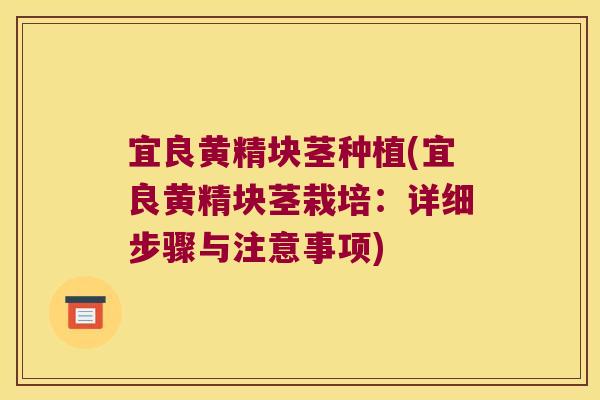 宜良黄精块茎种植(宜良黄精块茎栽培：详细步骤与注意事项)