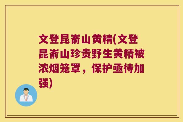 文登昆嵛山黄精(文登昆嵛山珍贵野生黄精被浓烟笼罩，保护亟待加强)