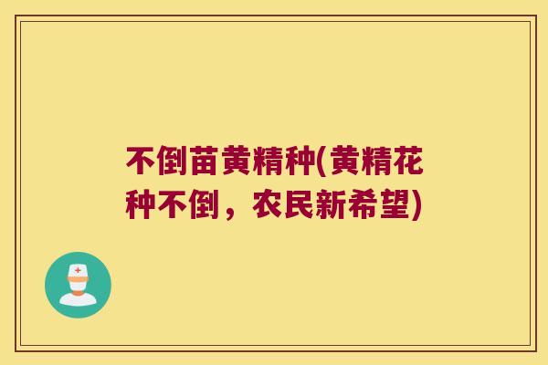 不倒苗黄精种(黄精花种不倒，农民新希望)