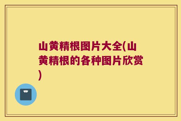 山黄精根图片大全(山黄精根的各种图片欣赏) 山黄精根图片大全(山黄精根的各种图片欣赏)