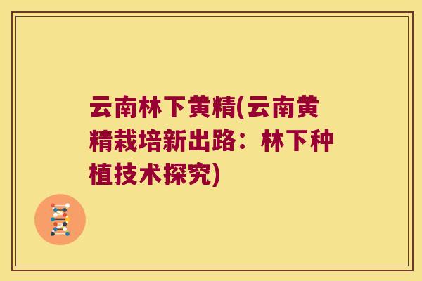 云南林下黄精(云南黄精栽培新出路：林下种植技术探究)
