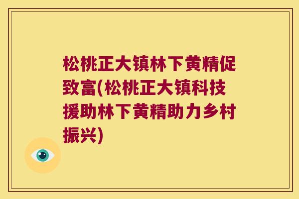 松桃正大镇林下黄精促致富(松桃正大镇科技援助林下黄精助力乡村振兴)