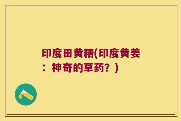 印度田黄精(印度黄姜:神奇的草药?) 印度田黄精(印度黄姜:神奇的草药?)