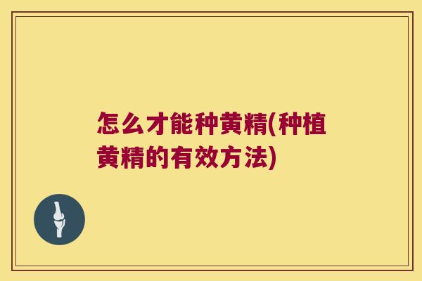 怎么才能种黄精(种植黄精的有效方法) 怎么才能种黄精(种植黄精的有效方法)