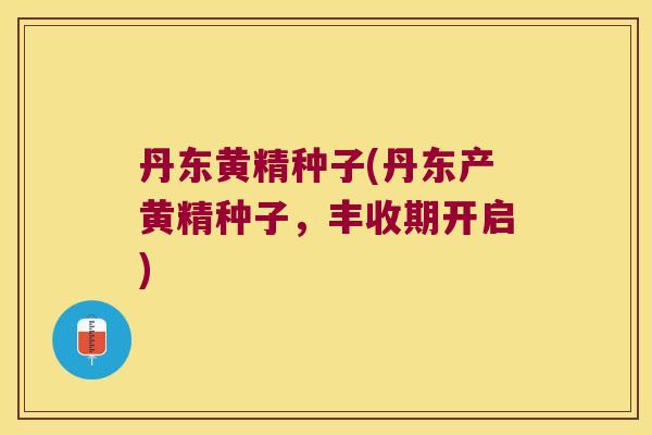 丹东黄精种子(丹东产黄精种子,丰收期开启) 丹东黄精种子(丹东产黄精种子,丰收期开启)