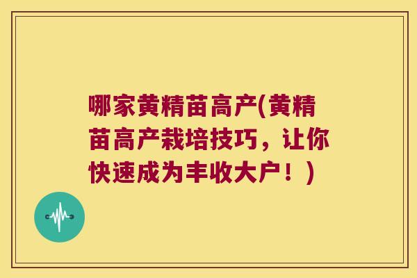 哪家黄精苗高产(黄精苗高产栽培技巧,让你快速成为丰收大户!) 哪家黄精苗高产(黄精苗高产栽培技巧,让你快速成为丰收大户!)