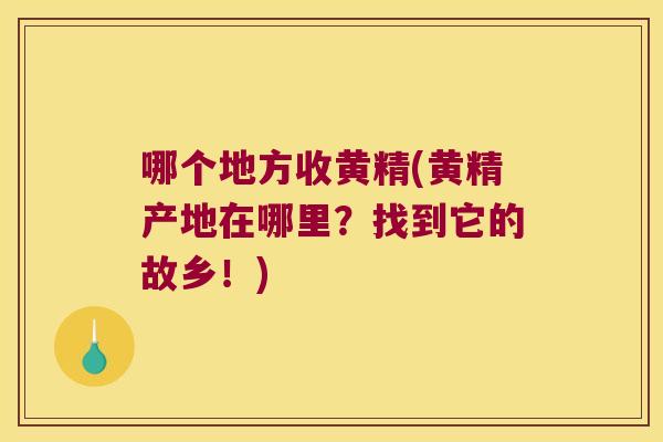 哪个地方收黄精(黄精产地在哪里?找到它的故乡!) 哪个地方收黄精(黄精产地在哪里?找到它的故乡!)