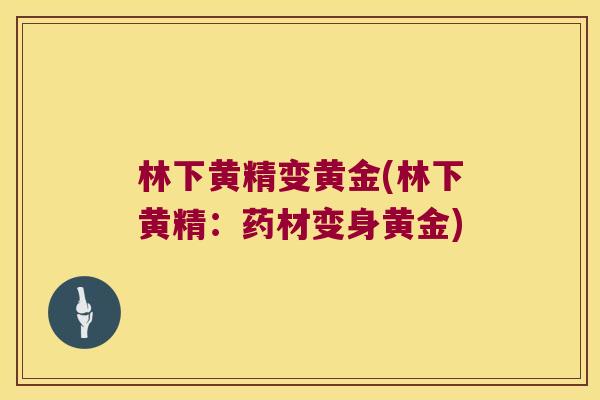 林下黄精变黄金(林下黄精：药材变身黄金)