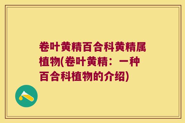 卷叶黄精百合科黄精属植物(卷叶黄精：一种百合科植物的介绍)