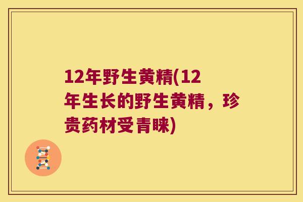 12年野生黄精(12年生长的野生黄精，珍贵药材受青睐)
