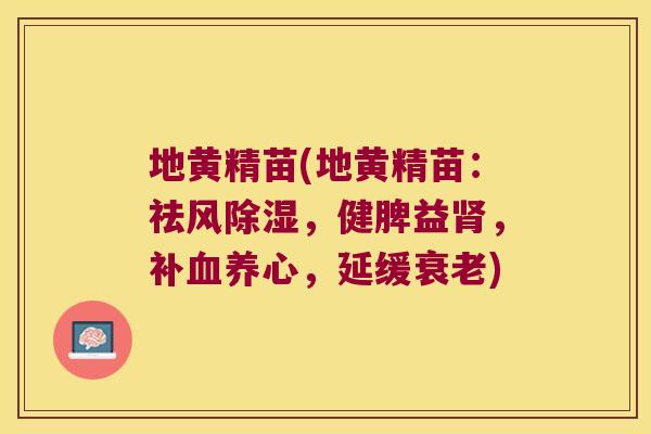 地黄精苗(地黄精苗：祛风除湿，健脾益，补养心，延缓)