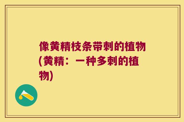 像黄精枝条带刺的植物(黄精：一种多刺的植物)