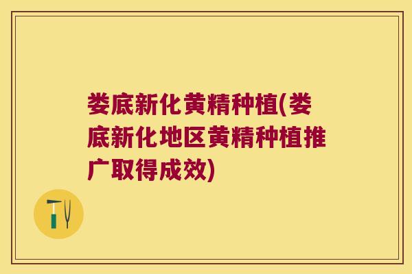 娄底新化黄精种植(娄底新化地区黄精种植推广取得成效)
