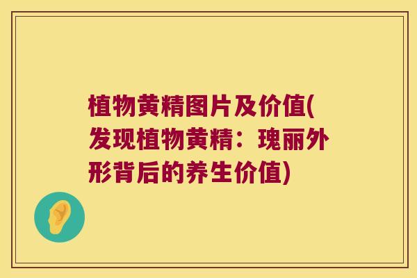 植物黄精图片及价值(发现植物黄精:瑰丽外形背后的养生价值) 植物黄精图片及价值(发现植物黄精:瑰丽外形背后的养生价值)