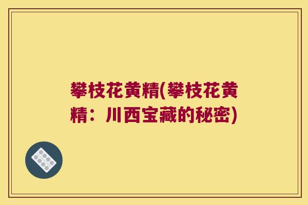 攀枝花黄精(攀枝花黄精:川西宝藏的秘密) 攀枝花黄精(攀枝花黄精:川西宝藏的秘密)