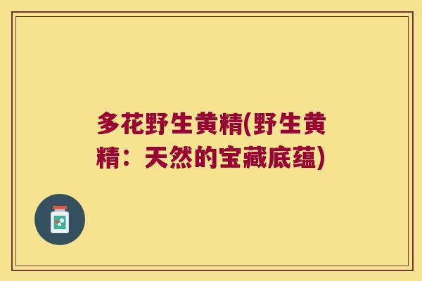 多花野生黄精(野生黄精：天然的宝藏底蕴)