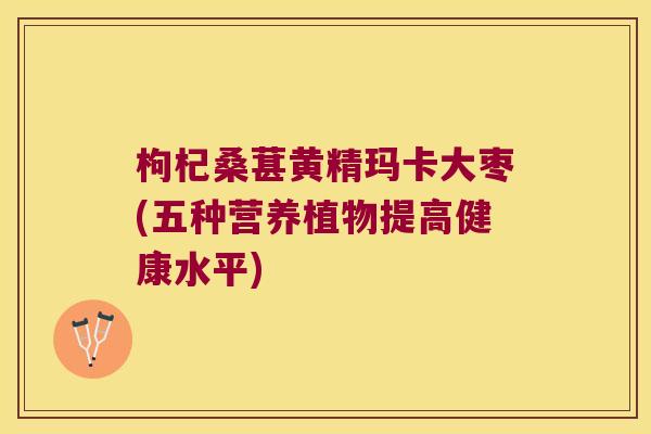 枸杞桑葚黄精玛卡大枣(五种营养植物提高健康水平)