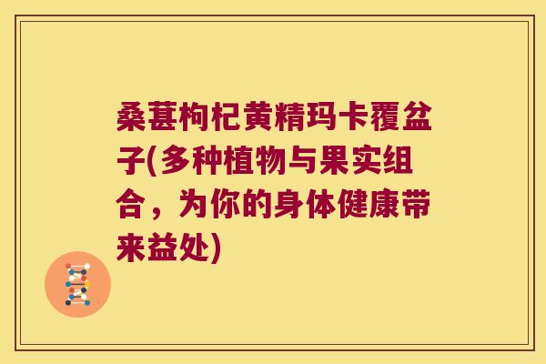 桑葚枸杞黄精玛卡覆盆子(多种植物与果实组合,为你的身体健康带来益处) 桑葚枸杞黄精玛卡覆盆子(多种植物与果实组合,为你的身体健康带来益处)