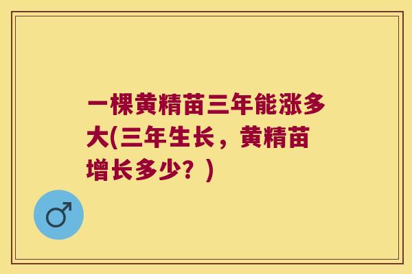 一棵黄精苗三年能涨多大(三年生长，黄精苗增长多少？)