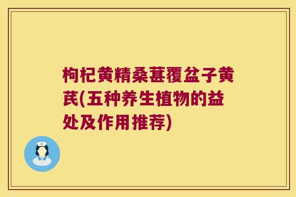 枸杞黄精桑葚覆盆子黄芪(五种养生植物的益处及作用推荐)