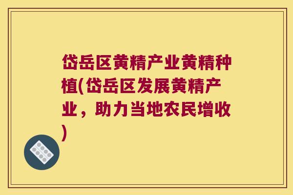 岱岳区黄精产业黄精种植(岱岳区发展黄精产业，助力当地农民增收)
