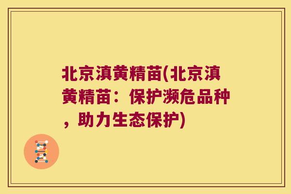 北京滇黄精苗(北京滇黄精苗:保护濒危品种,助力生态保护) 北京滇黄精苗(北京滇黄精苗:保护濒危品种,助力生态保护)