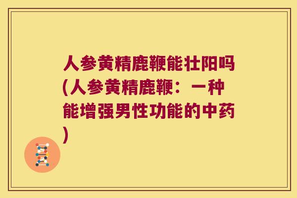 人参黄精鹿鞭能壮阳吗(人参黄精鹿鞭：一种能增强男性功能的)