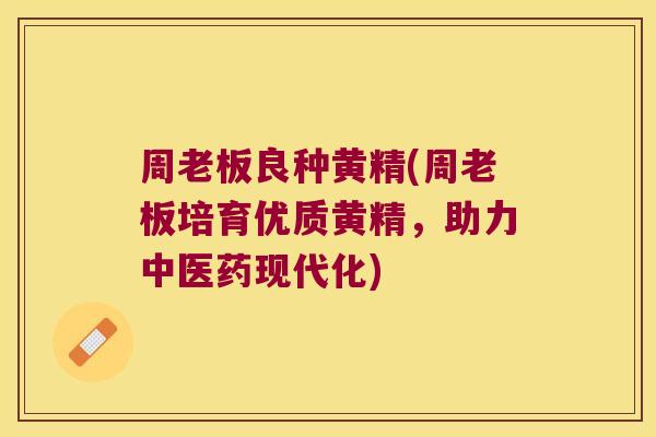 周老板良种黄精(周老板培育优质黄精,助力中医药现代化) 周老板良种黄精(周老板培育优质黄精,助力中医药现代化)