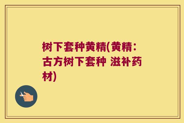 树下套种黄精(黄精:古方树下套种 滋补药材) 树下套种黄精(黄精:古方树下套种 滋补药材)