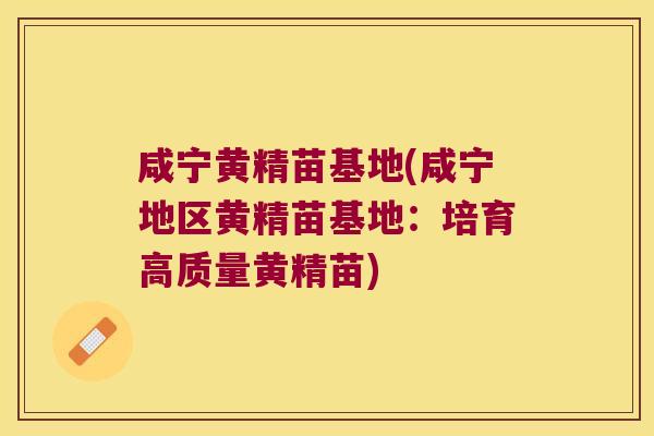 咸宁黄精苗基地(咸宁地区黄精苗基地：培育高质量黄精苗)
