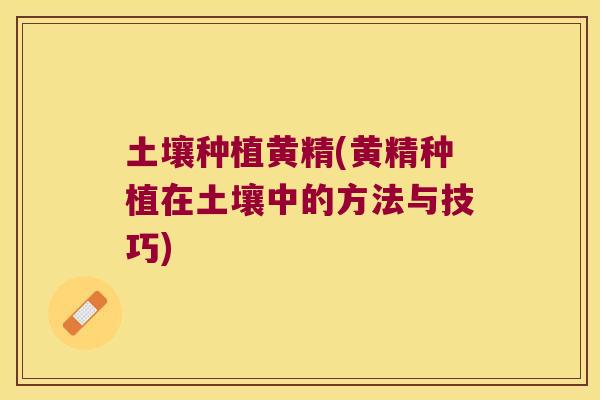 土壤种植黄精(黄精种植在土壤中的方法与技巧) 土壤种植黄精(黄精种植在土壤中的方法与技巧)