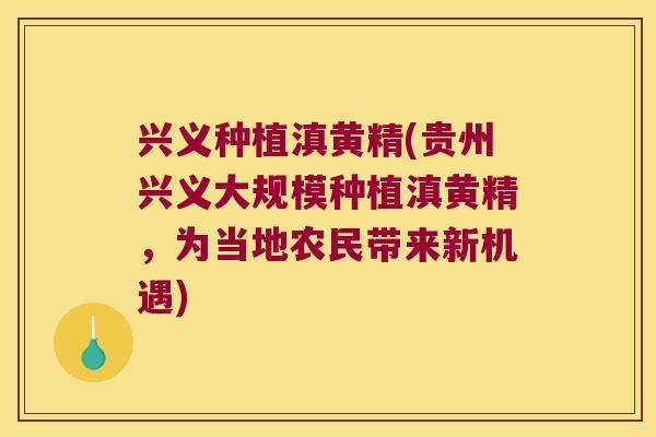兴义种植滇黄精(贵州兴义大规模种植滇黄精，为当地农民带来新机遇)
