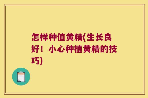怎样种值黄精(生长良好!小心种植黄精的技巧) 怎样种值黄精(生长良好!小心种植黄精的技巧)