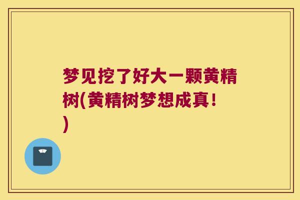梦见挖了好大一颗黄精树(黄精树梦想成真!) 梦见挖了好大一颗黄精树(黄精树梦想成真!)