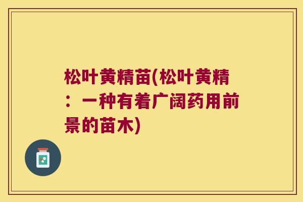 松叶黄精苗(松叶黄精：一种有着广阔药用前景的苗木)