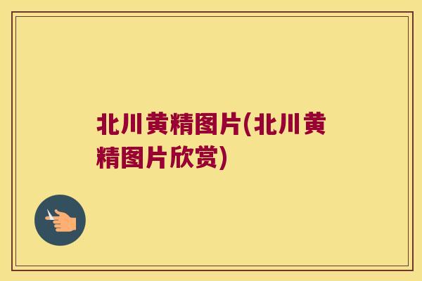 北川黄精图片(北川黄精图片欣赏)
