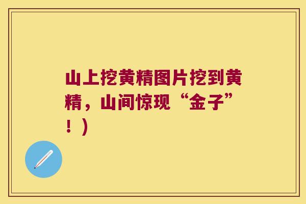 山上挖黄精图片挖到黄精,山间惊现“金子”!) 山上挖黄精图片挖到黄精,山间惊现“金子”!)