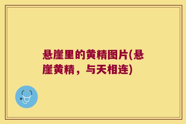 悬崖里的黄精图片(悬崖黄精,与天相连) 悬崖里的黄精图片(悬崖黄精,与天相连)