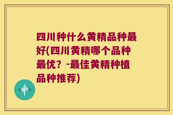 四川种什么黄精品种好(四川黄精哪个品种优？-佳黄精种植品种推荐)