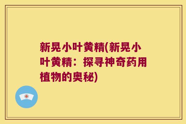 新晃小叶黄精(新晃小叶黄精:探寻神奇药用植物的奥秘) 新晃小叶黄精(新晃小叶黄精:探寻神奇药用植物的奥秘)