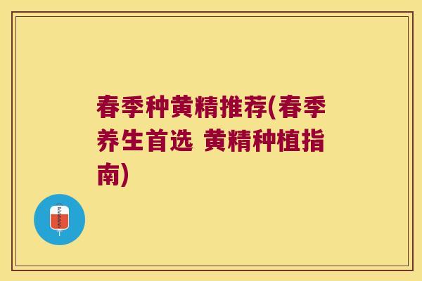 春季种黄精推荐(春季养生首选 黄精种植指南) 春季种黄精推荐(春季养生首选 黄精种植指南)