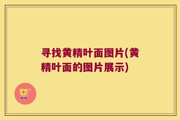 寻找黄精叶面图片(黄精叶面的图片展示)