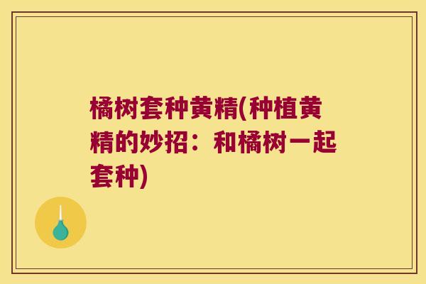 橘树套种黄精(种植黄精的妙招:和橘树一起套种) 橘树套种黄精(种植黄精的妙招:和橘树一起套种)