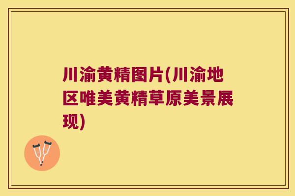 川渝黄精图片(川渝地区唯美黄精草原美景展现) 川渝黄精图片(川渝地区唯美黄精草原美景展现)