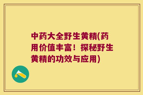大全野生黄精(药用价值丰富!探秘野生黄精的功效与应用) 大全野生黄精(药用价值丰富!探秘野生黄精的功效与应用)